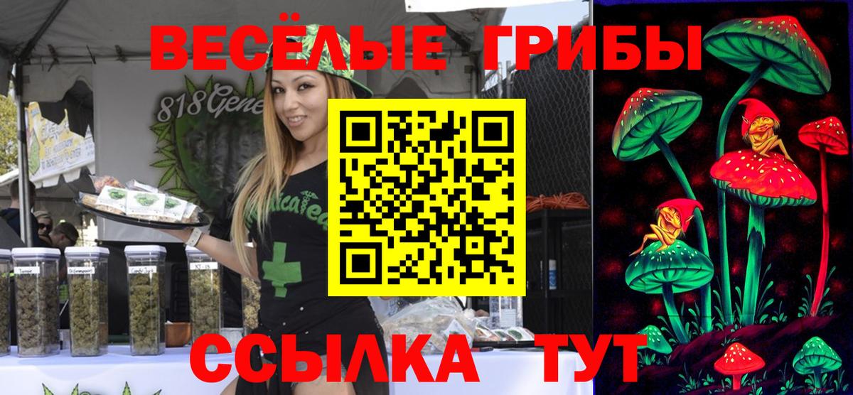 Галлюциногенные грибы мухоморы Асбест